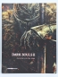 Preview: Dark Souls II  - Collector's Edition Guide